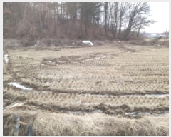  2024Ÿ��5569 ��� ���ý� û���� ���渮 23-4      ����(��)���