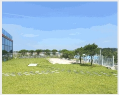  2024Ÿ��48672 ��� ���ý� ������ �渲�� 609-10      ����(�Ӿ�)���