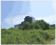  2024Ÿ��48672 ��� ���ý� ������ �渲�� 609-10      ����(�Ӿ�)���