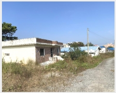  2024Ÿ��51159 ��� �ȼ��� ���׸� ��õ�� 414-3      ���ð��