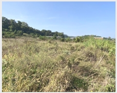  2024Ÿ��51159 ��� �ȼ��� ���׸� ��õ�� 414-3      ���ð��