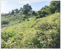  2024Ÿ��51159 ��� �ȼ��� ���׸� ��õ�� 414-3      ���ð��