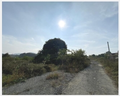  2024Ÿ��51159 ��� �ȼ��� ���׸� ��õ�� 414-3      ���ð��