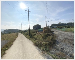  2024Ÿ��51159 ��� �ȼ��� ���׸� ��õ�� 414-3      ���ð��