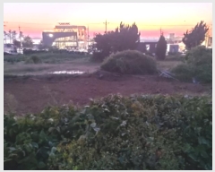  2024Ÿ51395  ý  ǰ 763-2      ()