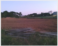  2024Ÿ51395  ý  ǰ 763-2      ()