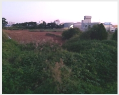  2024Ÿ51395  ý  ǰ 763-2      ()