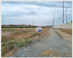  2024Ÿ52619  ý  ſ 897-10      ()