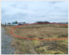  2024Ÿ52619  ý  ſ 897-10      ()