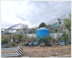  2024Ÿ52619  ý  ſ 897-10      ()