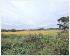  2024Ÿ52619  ý  ſ 897-10      ()