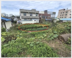  2024Ÿ53063  ý ź 170, 106 181801ȣ (, Եĳ)   Ʈ