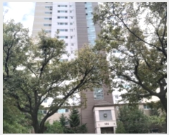  2024Ÿ53063  ý ź 170, 106 181801ȣ (, Եĳ)   Ʈ