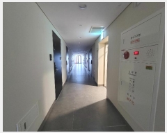  2024Ÿ53919  ý  945, 102 5507ȣ (絿,ðũ)    ǽڰ