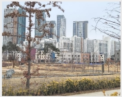  2024Ÿ��55151 ��� ���ý� ����������� 77, 202�� 25��2505ȣ (������,��������Ʈ������Ʈ��)    ����Ʈ���