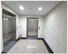  2024Ÿ��55243  ���ǽ��ڰ��