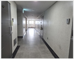  2024Ÿ��55243  ���ǽ��ڰ��