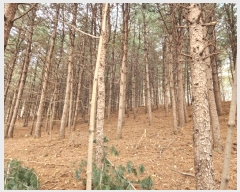  2024Ÿ��56451 ��� ���ý� ���ϵ� ��5-3       ����(�Ӿ�)���