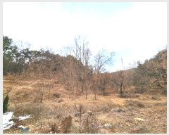  2024Ÿ��56451 ��� ���ý� ���ϵ� ��5-3       ����(�Ӿ�)���