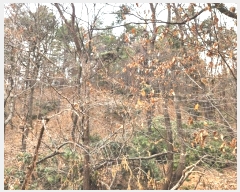  2024Ÿ��56451 ��� ���ý� ���ϵ� ��5-3       ����(�Ӿ�)���