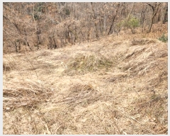  2024Ÿ��56451 ��� ���ý� ���ϵ� ��5-3       ����(�Ӿ�)���