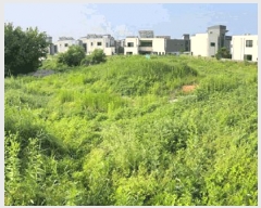  2024Ÿ56987  ý ؼ 縮 185-61      (Ӿ)