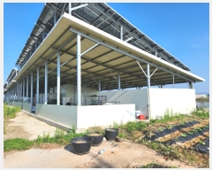  2024Ÿ1888  ȼ  ߺ 626-8      (󰡽ü)