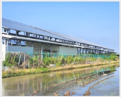  2024Ÿ1888  ȼ  ߺ 626-8      (󰡽ü)