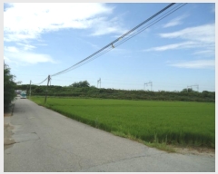  2024Ÿ3266  ý  â 544-13      ()