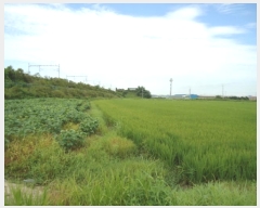  2024Ÿ3266  ý  â 544-13      ()