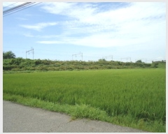  2024Ÿ3266  ý  â 544-13      ()