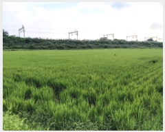  2024Ÿ3266  ý  â 544-13      ()