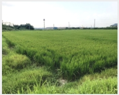  2024Ÿ3266  ý  â 544-13      ()