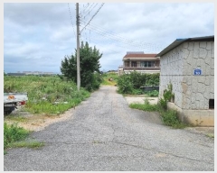  2024Ÿ��3297  ����