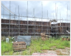  2024Ÿ��3297  ����