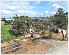  2024Ÿ��3297  ����