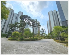  2024Ÿ3358  ý 6 49, 1427 111103ȣ (,ŵô뱤ӵƮ)    Ʈ