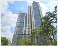  2024Ÿ3358  ý 6 49, 1427 111103ȣ (,ŵô뱤ӵƮ)    Ʈ