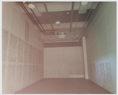  2024Ÿ3396  ý  1 19, 2210ȣ (ƼĻ)    Ʈ