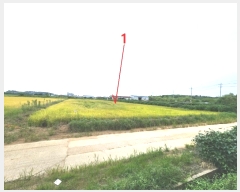  2024Ÿ��3785 ��� ���ý� ������ �±��� 748-1      ����(��)���