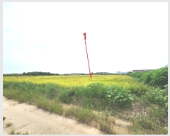  2024Ÿ��3785 ��� ���ý� ������ �±��� 748-1      ����(��)���