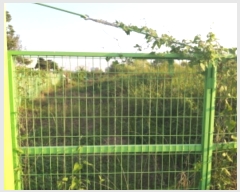  2024Ÿ��3785 ��� ���ý� ������ �±��� 748-1      ����(��)���