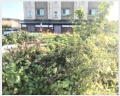  2024Ÿ��4146 ��� ���ý� û���� ���渮 1289-1      ����(����)���