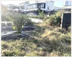  2024Ÿ��4146 ��� ���ý� û���� ���渮 1289-1      ����(����)���