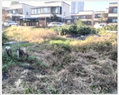  2024Ÿ��4146 ��� ���ý� û���� ���渮 1289-1      ����(����)���