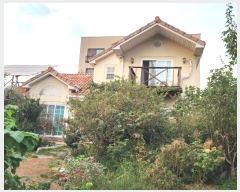  2024Ÿ4184  ý ؼ ȱ 55      ð