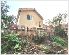  2024Ÿ4184  ý ؼ ȱ 55      ð