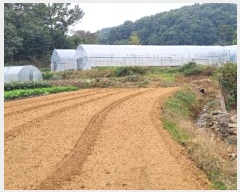  2024Ÿ��4221 ��� �ȼ��� �׻�� �α��� 56      ����(��)���