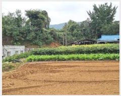  2024Ÿ��4221 ��� �ȼ��� �׻�� �α��� 56      ����(��)���