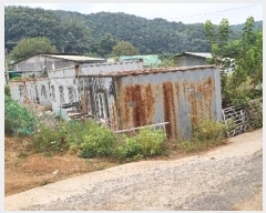  2024Ÿ��4221 ��� �ȼ��� �׻�� �α��� 56      ����(��)���